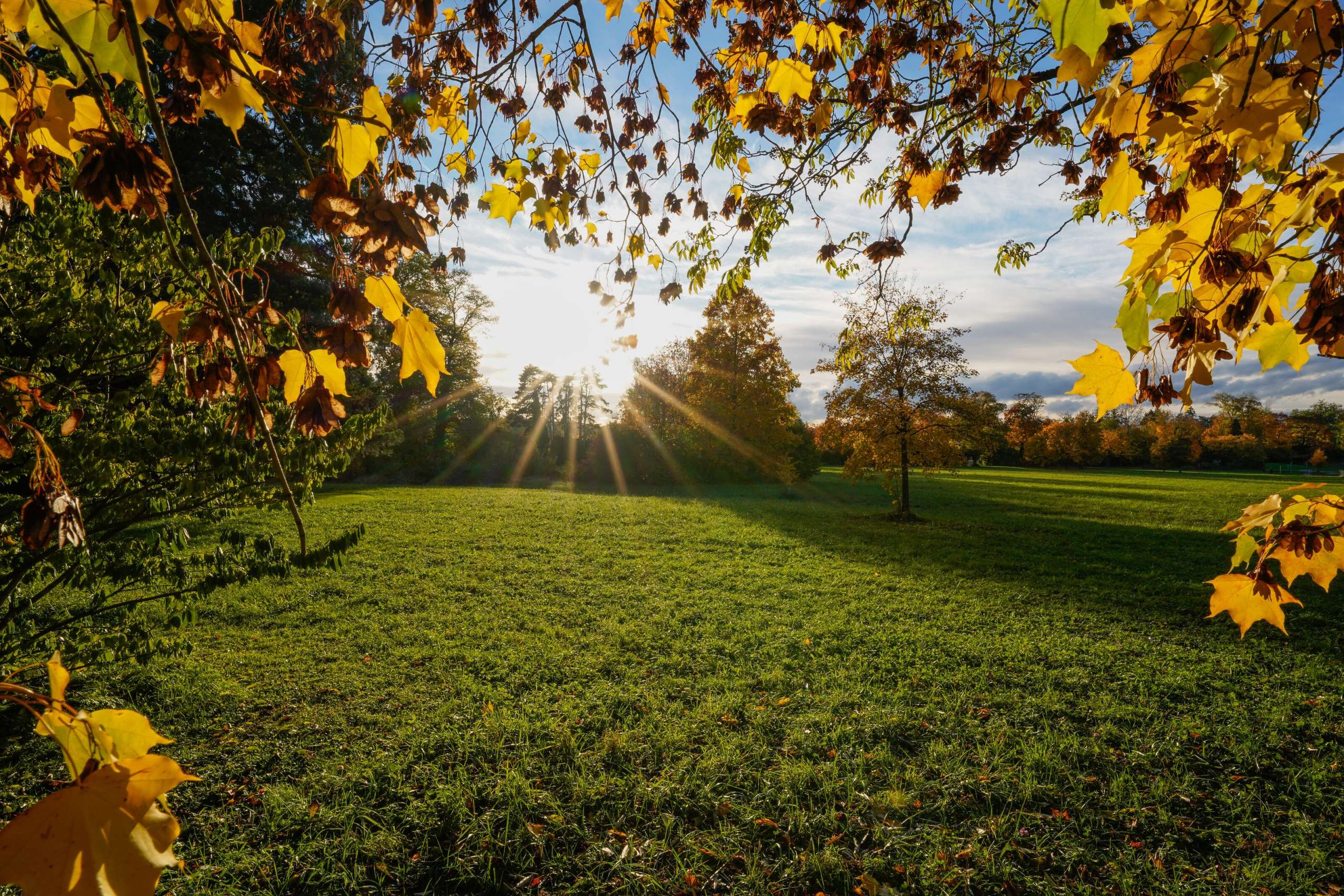 Thurgau_Natur_Herbst2 Kreuzlingen, Thurgau, Jahreszeit, Seeburgpark, Schweiz, Herbst