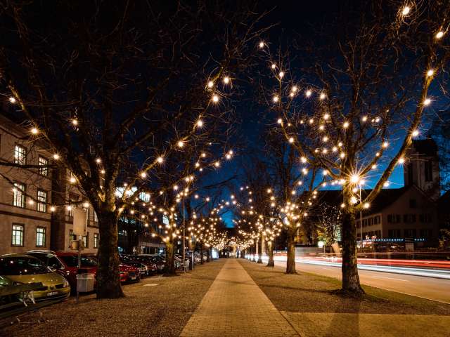 Festliche Weihnachtsessen Festliche Weihnachtsessen